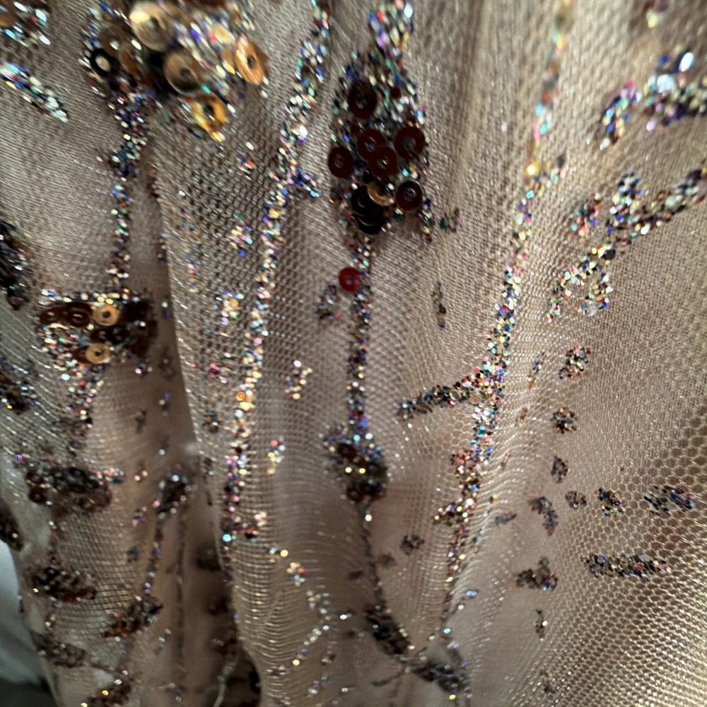 LULUS Luminous Night Taupe Rainbow Glitter‎ Bronze Sequin Maxi Gown Dress Xl NwT - Picture 11 of 12